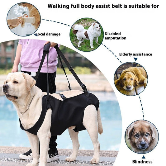 Dog Support Lift Harness – Mobility Aid Strap for Injured or Senior Dogs - CJGY208955001AZ - Furrkins