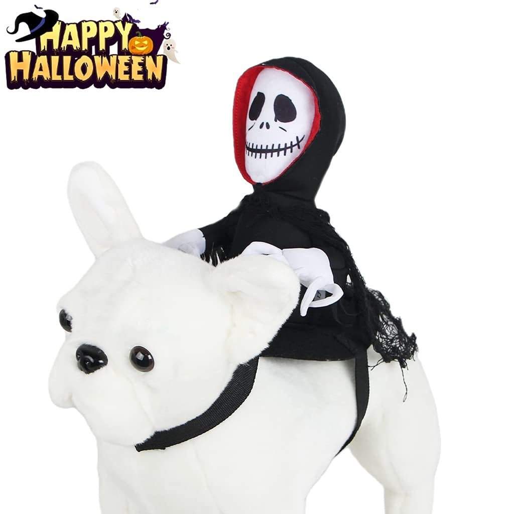Halloween Goblin Riding Costume – Funny Dress-Up for Dogs - CJGD154054701AZ - Furrkins