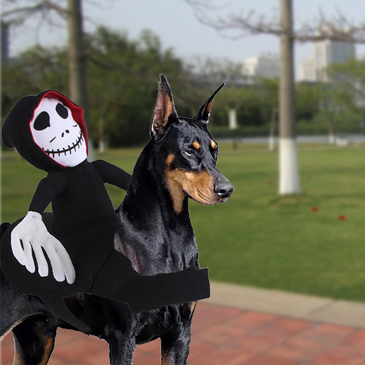 Halloween Goblin Riding Costume – Funny Dress-Up for Dogs - CJGD154054701AZ - Furrkins