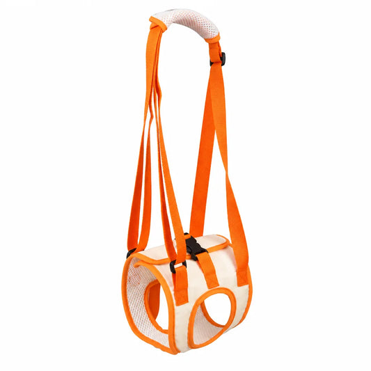 Hind-leg support sling for dogs with padded handle and adjustable straps.