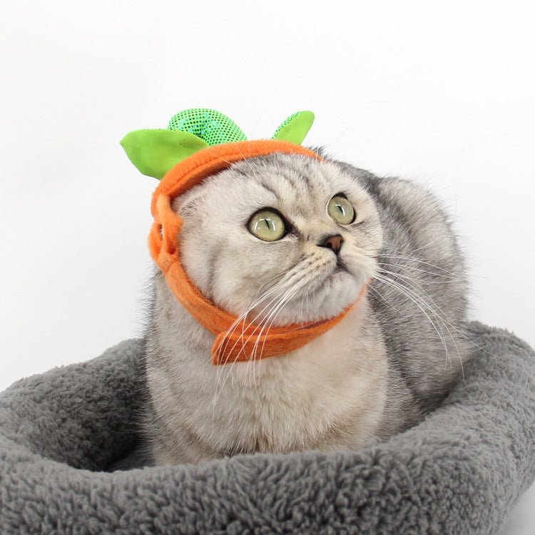 Halloween Pet Pumpkin Costume – Cute Dress & Hat Set for Cats & Small Dogs - CJJJCWGD00563-Yellow - Furrkins