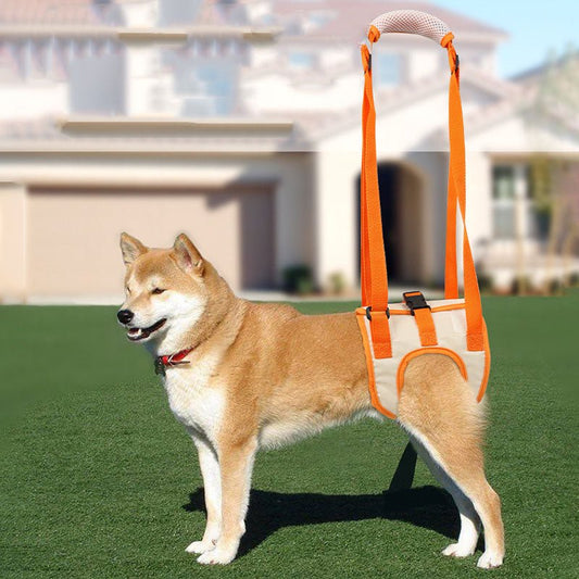 Dog Hind Leg Support Harness – Lift Sling for Senior, Injured & Disabled Dogs - CJGY116658901AZ - Furrkins