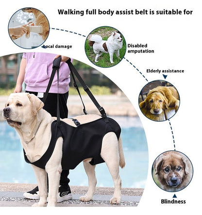 Dog Support Lift Harness – Mobility Aid Strap for Injured or Senior Dogs - CJGY208955001AZ - Furrkins