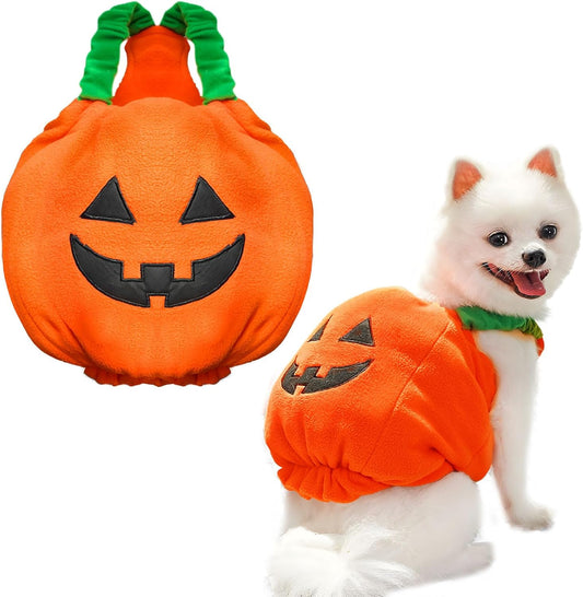 Halloween Pet Pumpkin Costume – Thick Plush Dress-Up for Dogs & Cats - CJGY214995801AZ - Furrkins