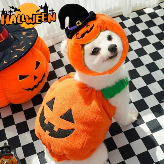 Halloween Pumpkin Pet Vest – Hand-Woven Costume for Dogs & Cats - CJYD186173001AZ - Furrkins
