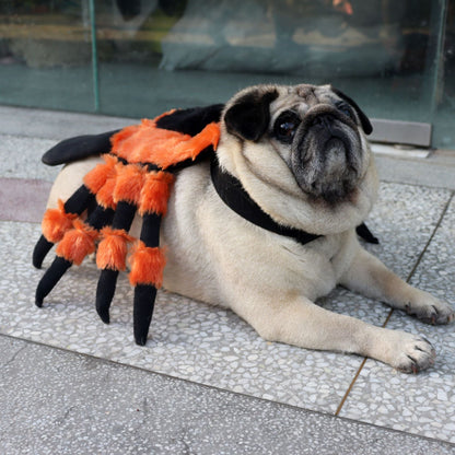 Halloween Spider Pet Costume – Red-Eyed Dress-Up for Cats & Dogs - CJYD245405301AZ - Furrkins
