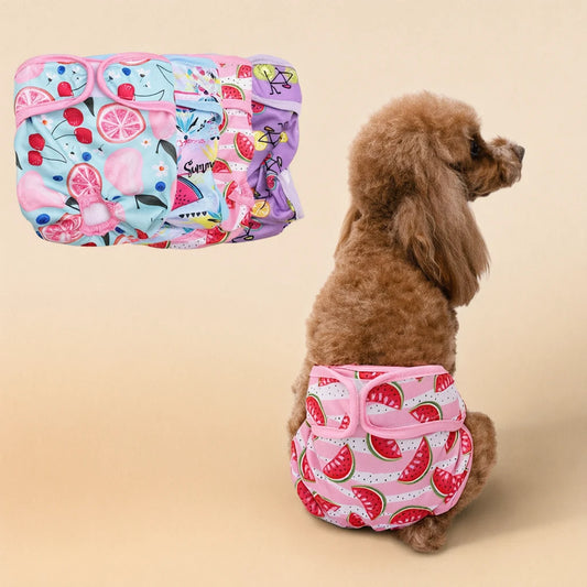 Brown toy poodle wearing a Sweet Watermelon washable female dog diaper, with four print options fanned out in the upper left.